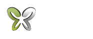 Logo Clever IDEAS-02